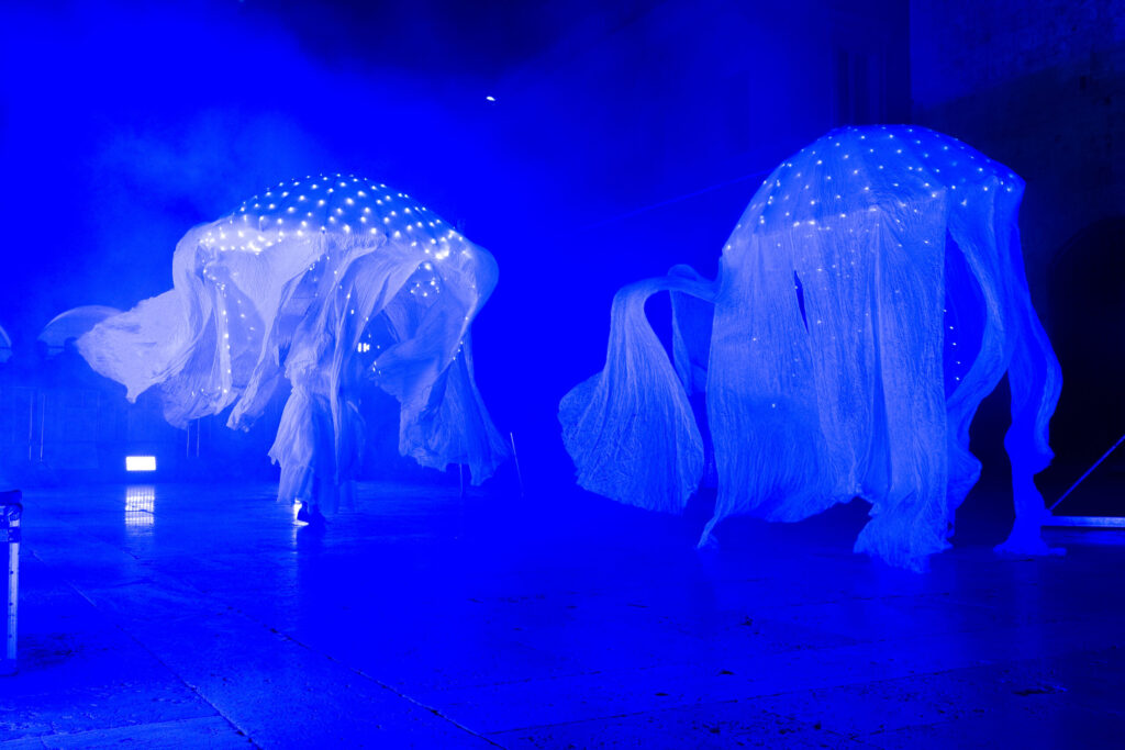 Meduse di luce